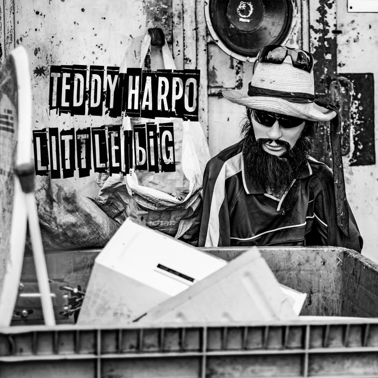 Teddy Harpo Little big Album